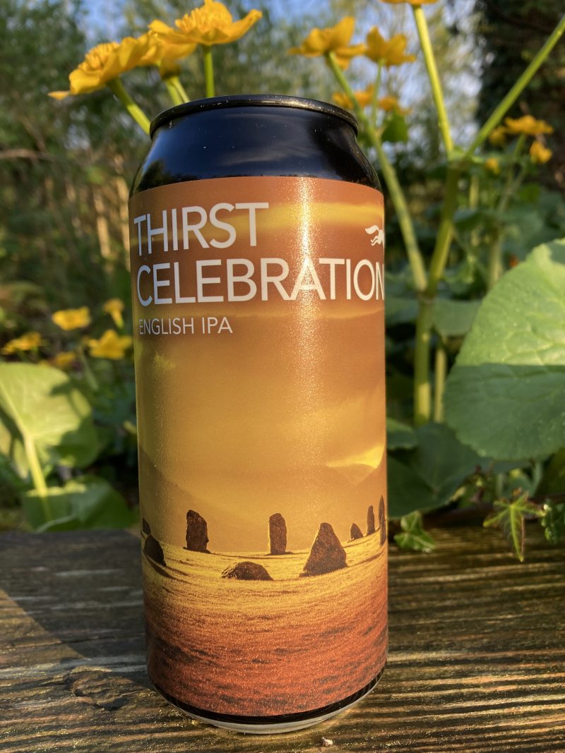 Thirst Celebration 7% Can Case